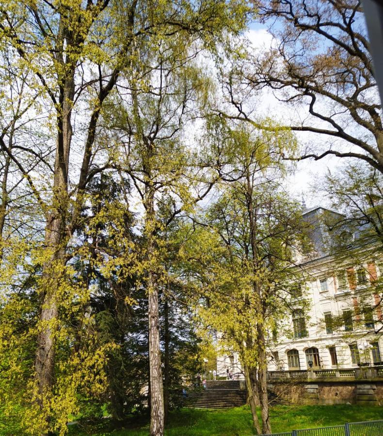 Apartament Przy Zamku Pszczyna Esterno foto